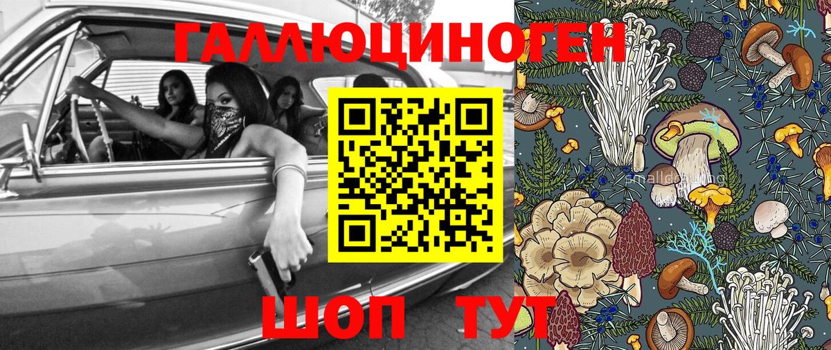 как найти закладки  Вход с VPN  Урюпинск  Псилоцибиновые грибы GOLDEN TEACHER 